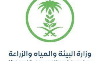 جاهزية سدود منطقة الحدود الشمالية لاستقبال الامطار