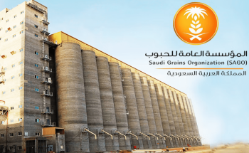 غدًا.. مؤسسة الحبوب تطرح 22 وظيفة تخصصية شاغرة للتقديم