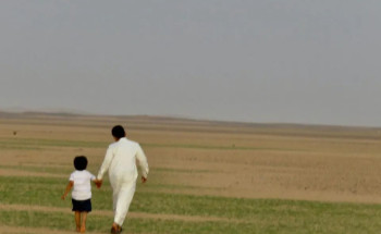 صحاري بني سنامة في وادي الدواسر تكتسي بالأخضر