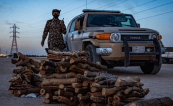 “الأمن العام” يضبط مخالفين لنظام البيئة في الرياض والقصيم