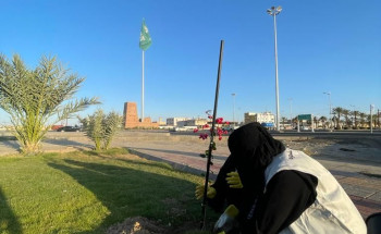 بلدية بيشة تبدأ في زراعة الأشجار بمداخل وشوارع المحافظة