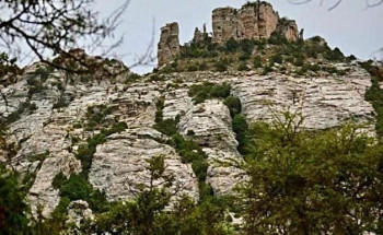 تجاوبًا مع مقترح الفنان خالد عبدالرحمن.. رئيس بلدية تنومة يقف على موقع سياحي