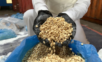 “مكافحة المخدرات” تحبط محاولة تهريب أكثر من(3)ملايين قرص إمفيتامين