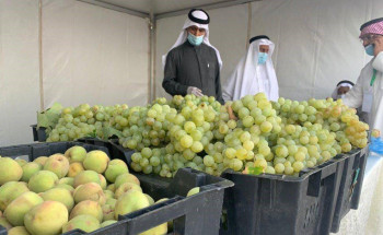 برعاية أمير منطقة عسير.. مهرجان العنب والفواكه الموسمية ينطلق غدا في الماوين