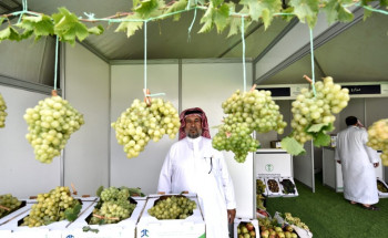 إختتام ناجح لمهرجان العنب والفواكه الموسمية الثالث في الماوين