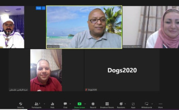 اللجنة الكشفية العربية الفرعية للحماية من الأذى تعقد اجتماعها الثامن