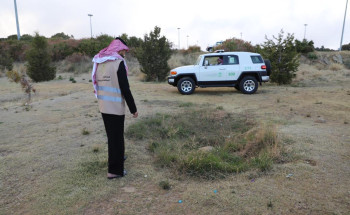 تسجيل نحو 650 مخالفة ضد مخالفي لوائح “الغطاء النباتي” في مناطق المملكة