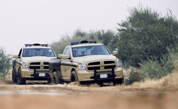 “الأمن البيئي” يضبط 42 مخالفًا لبيعهم حطبًا محليًا في عدة مناطق