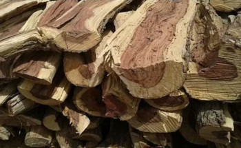 ضبط 5 مخالفين في مكة وحائل بحوزتهم حطب محلي معروض للبيع