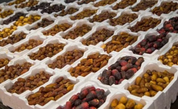 مليون نخلة تثري مهرجان التمور في الجوف بإنتاجها الوفير