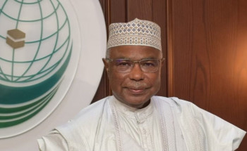 “التعاون الإسلامي”: ما تقوم به “إسرائيل” جريمة ضد الإنسانية تستدعي المساءلة