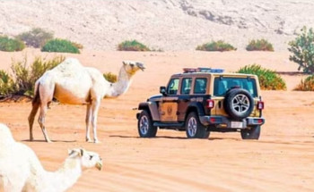 “الأمن البيئي” تضبط 42 مخالفًا لارتكابهم مخالفات رعي في عدة مناطق