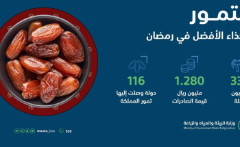 “البيئة”: صادرات التمور تتخطّى 1,28 مليار ريال.. وإقبال كبير في الأسواق خلال رمضان