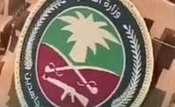 جازان.. ضبط مخالف لأمن الحدود بحوزته 37170 قرصًا خاضعًا لتنظيم التداول الطبي