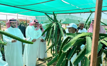فريق من مكتب وزارة البيئة والمياه والزراعة ببيشة وجامعة بيشة يزورون مزرعة الدراقون فروت ببيشة
