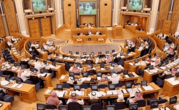 استفسارات وإجابات.. “الشورى” يناقش تقرير “البيئة والمياه والزراعة” السنوي