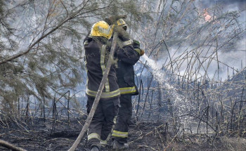 مدني حائل يُخمد حريقًا في حشائش بوادي الأديرع.. ولا إصابات
