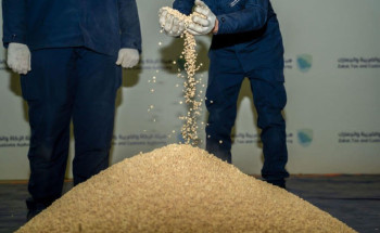 جمرك ميناء جدة الإسلامي يتمكن من إحباط محاولة تهريب أكثر من 1,3 مليون حبة كبتاجون مُخبأة في إرسالية “ألواح خشبية”