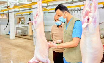 إدارة الأسواق والمسالخ في بيئة حائل تكثف حملاتها