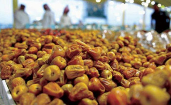 تخطت الـ 566 مليون ريال.. ارتفاع صادرات المملكة من التمور في الربع السنوي الأول