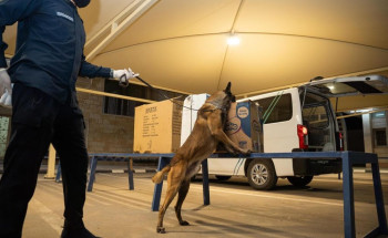 جمرك الحديثة يُحبط محاولة تهريب أكثر من 130 ألف حبة كبتاجون مخبأة في علب تحتوي على “جبن وزعتر”