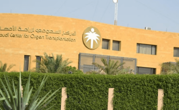 6 عمليات تضمنت زراعة قلب وكبد وكلى.. أعضاء 3 متوفين دماغيًّا تساهم في إنقاذ حياة 6 مرضى