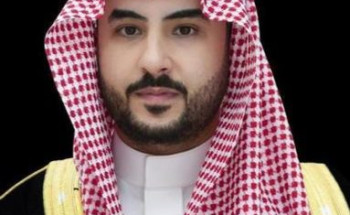 وزير الدفاع يجري اتصالًا هاتفيًا برئيس مجلس القيادة الرئاسي اليمني