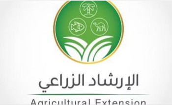 “الإرشاد الزراعي” يحذّر مزارعي الحمضيات: لا ترشوا المبيدات العشبية في سبتمبر