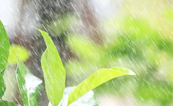 منطقة مكة المكرّمة تسجّل أعلى كمياتٍ لهطول الأمطار بـ(60.0)ملمترًا