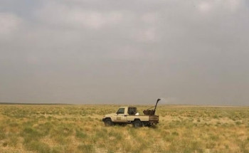 “وقاء مكة”: نجاح مكافحة الجراد الصحراوي في 41 موقعًا بالليث والقنفذة