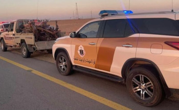 شرطة الجوف تضبط مواطنًا مخالفًا لنظام البيئة بحوزته حطب محلي