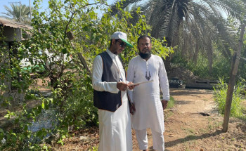 ” أحمي مزروعاتك من الصقيع ” حملة إرشادية ببيئة الشرقية