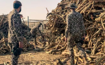 ضبط 3 مخالفين لقطعهم الأشـجار وتخزين الحطب المحلي وتحويله إلى فحم في مكة