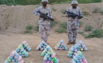 جازان.. حرس الحدود يحبط تهريب 105 كيلوجرامات من نبات القات المخدر