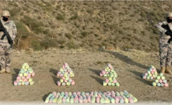 حرس الحدود بعسير يحبط تهريب 67 كجم قات في الربوعة