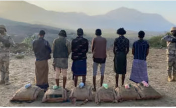 جازان.. القبض على 6 مخالفين لتهريبهم 91 كلجم من نبات القات المخدر