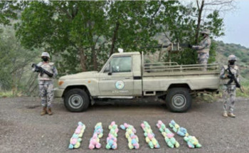 حرس الحدود بجازان يحبط تهريب 280 كجم قات في العارضة