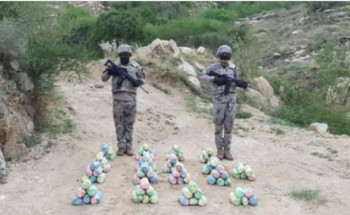 حرس الحدود بجازان يحبط تهريب “80” كجم قات في الدائر
