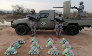 حرس الحدود بجازان يحبط تهريبَ “380” كجم قات في العارضة