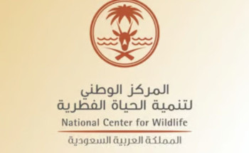 “الحياة الفطرية” يضبط شخصًا بحوزته 47 سمكة من قرش الشعاب بغرض البيع