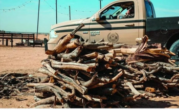 ضبط مواطن لاستخدامه حطبًا محليًا في الأنشطة التجارية بعسير