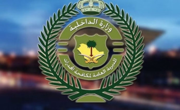 “مكافحة المخدرات” تُطِيح بمواطن بالشرقية لترويجه 4 كجم شبو وحشيش