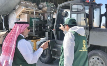 وصول الطائرة الإغاثية السعودية الـ 41 لإغاثة الشعب الفلسطيني في قطاع غزة