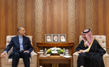 وزير الخارجية يلتقي وزير خارجية إيران