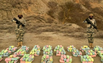 حرس الحدود بعسير يحبط تهريب 200 كجم قات بالربوعة