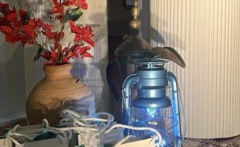 ١٣ مقيمة تُشهر إسلامها في مبادرة “رمضاني الأول”