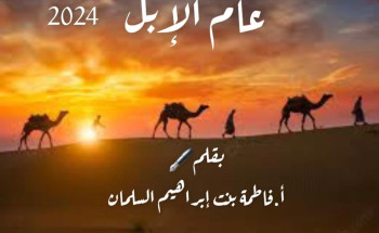 عام الإبل / 2024 م