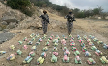 حرس الحدود بجازان يحبط تهريب 220 كجم قات في العارضة