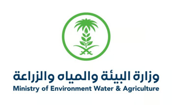 “بيئة الرياض” تتحفظ على 12 طنًا من البيض الفاسد