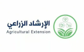 بدرجات مختلفة من النضج.. “الإرشاد الزراعي” ينصح بجمع ثمار الفراولة خلال الصباح الباكر